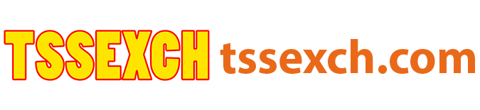  TSSEXCH Website Logo